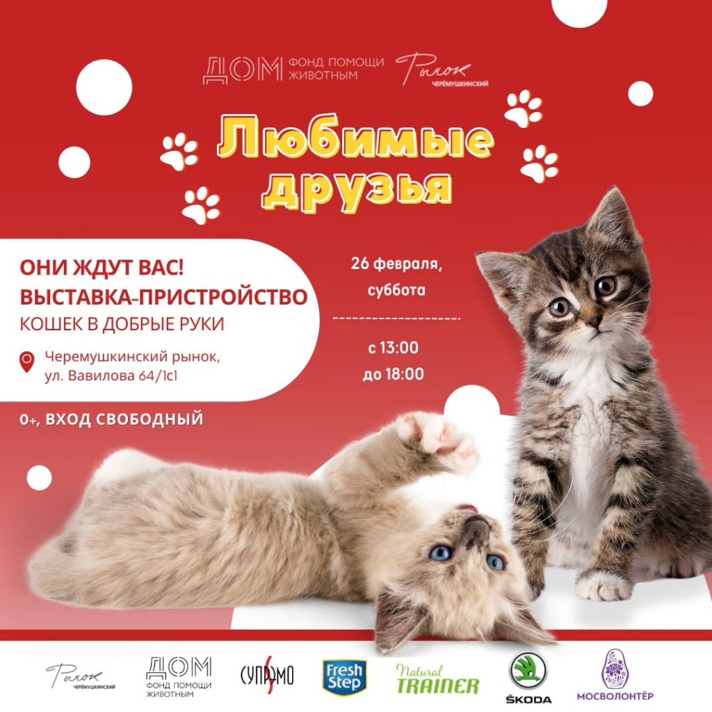 WhatsApp Image 2022-02-08 at 13.12.40.jpeg WhatsApp Image 2022-02-08 at 13.12.40.jpeg