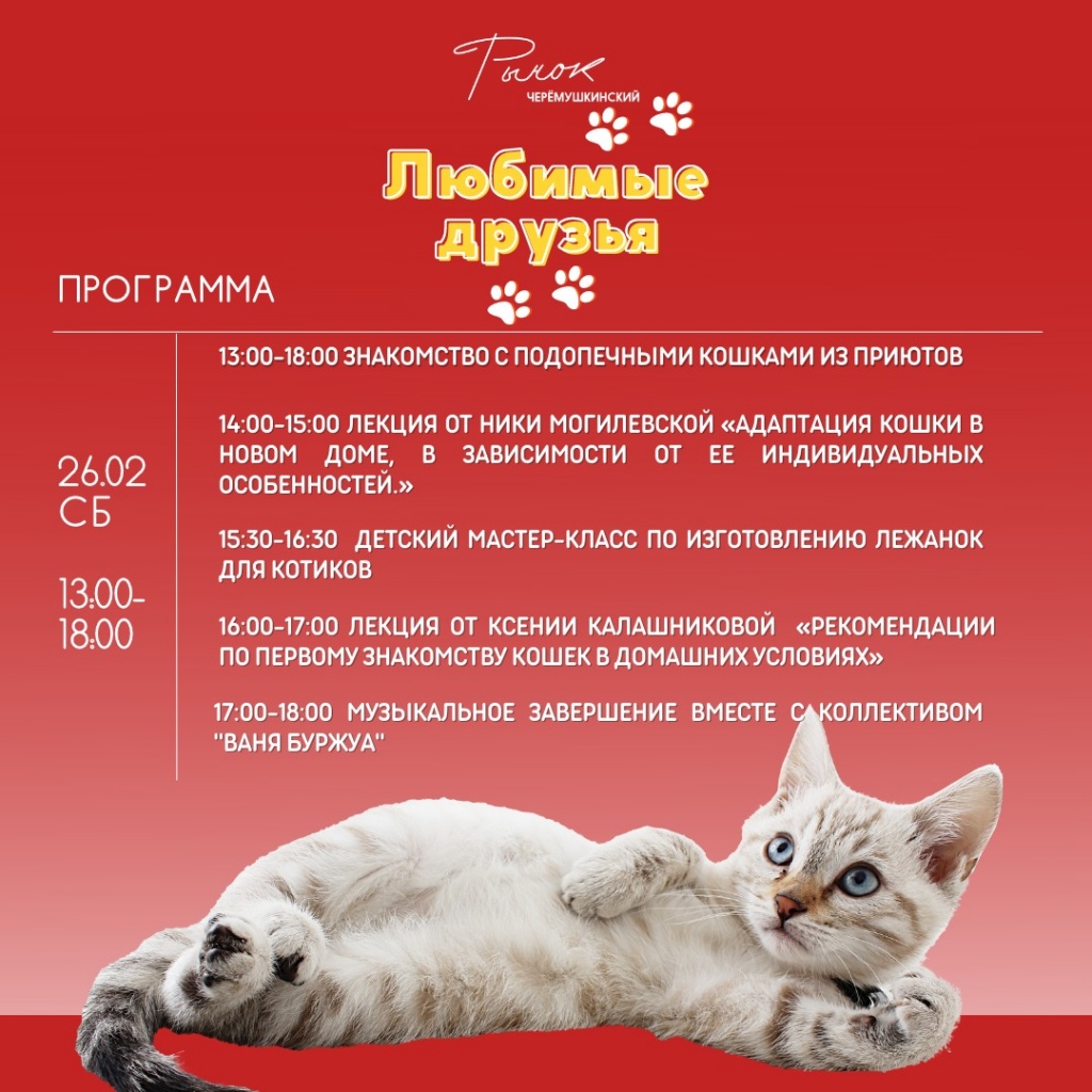 WhatsApp Image 2022-02-08 at 13.12.41.jpeg WhatsApp Image 2022-02-08 at 13.12.41.jpeg